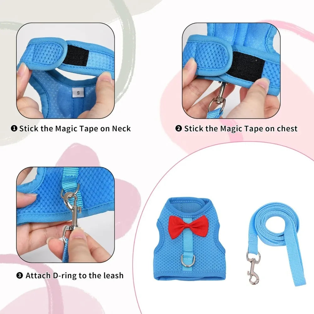 Bunny Harness and Leash Set with Cute Bow