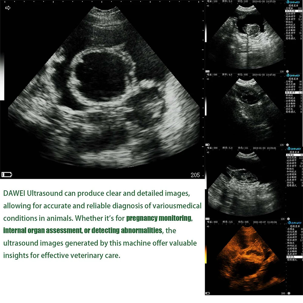 Portable Veterinary Ultrasound Scanner for Pregnancy