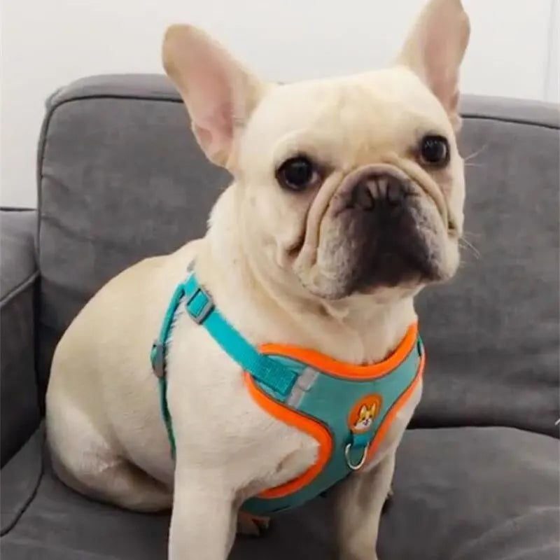Chest Strap Vest Leash