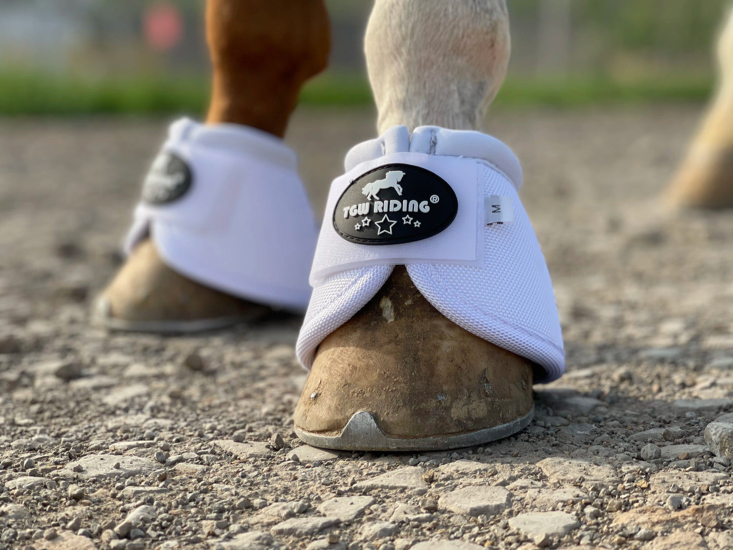 TGW RIDING 2520D Horse Bell Boots