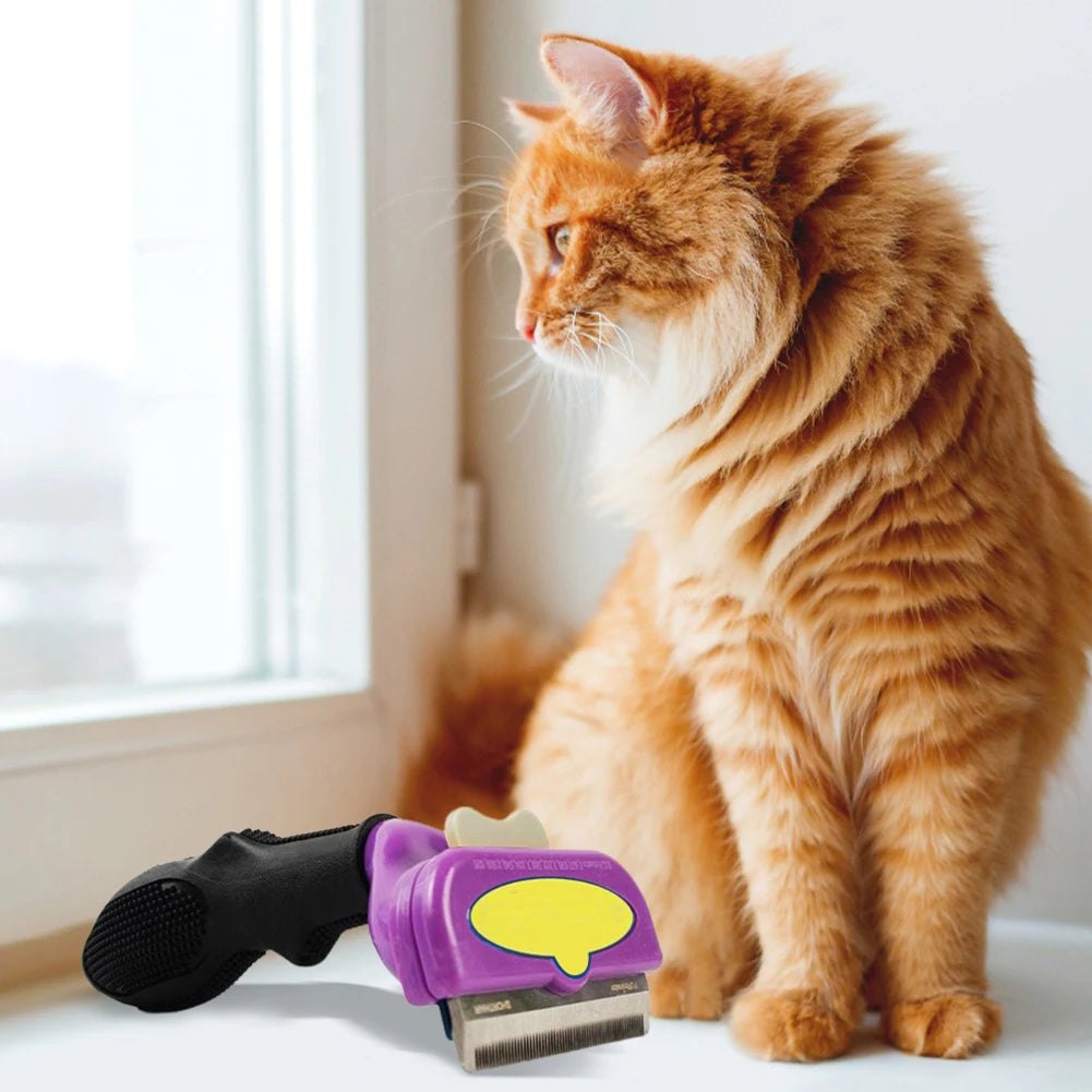 Dog Brush Grooming Accessories