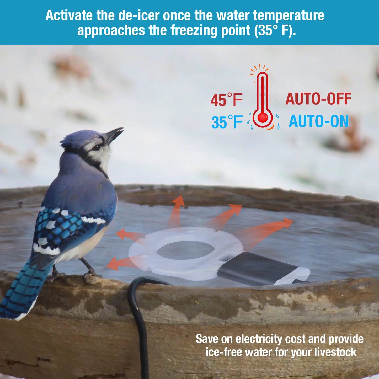 Submergible Cast Aluminum Thermostatic Control