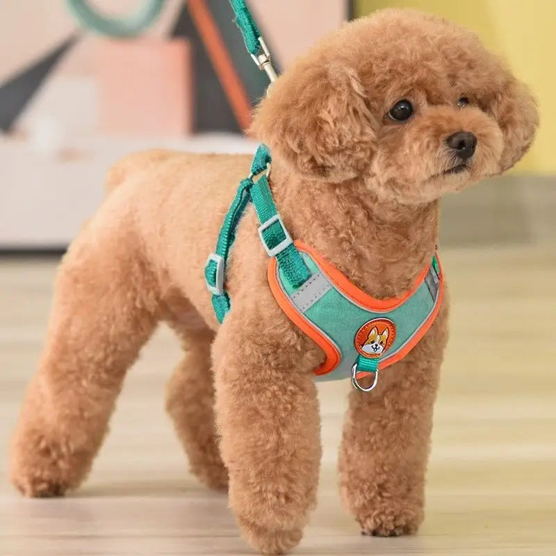 Chest Strap Vest Leash