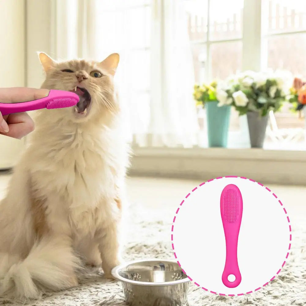 Cat Chin Brush