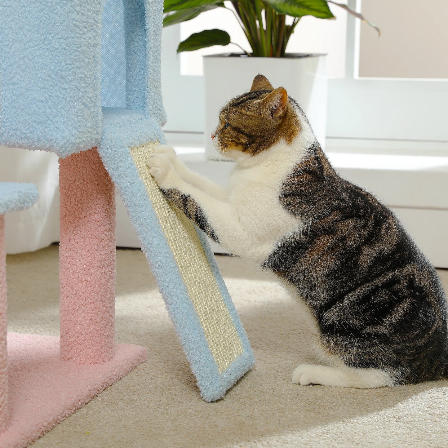 Multi-Level Flower Cat Tree Tower