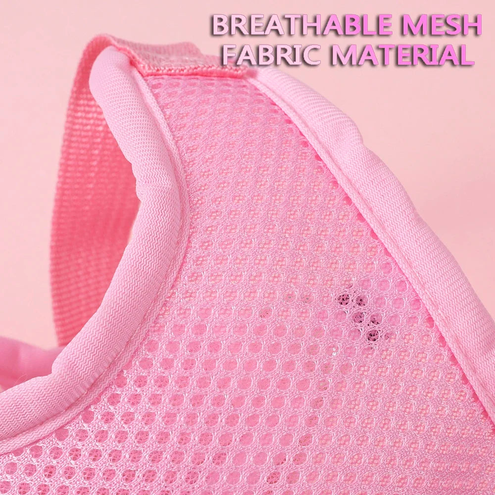 Butterfly Cute Breathable Dog Harness Set