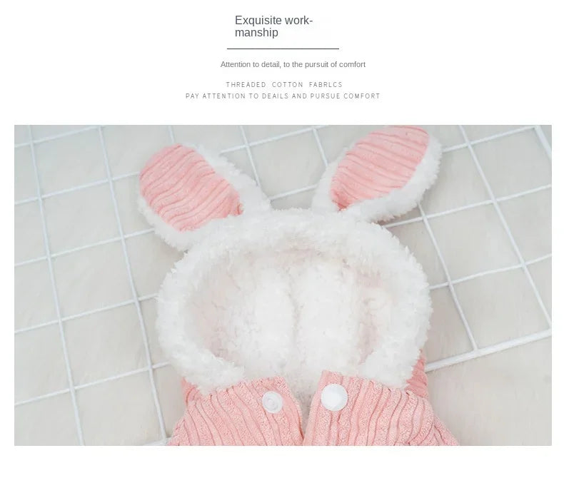 Warm Winter Clothes for Kittens