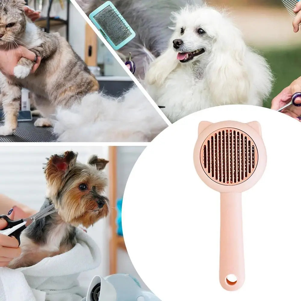 Cat Brush For Shedding