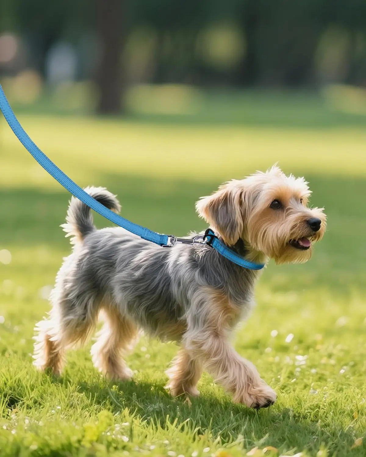 New Style Adjustable Reflective Nylon Dog Collar