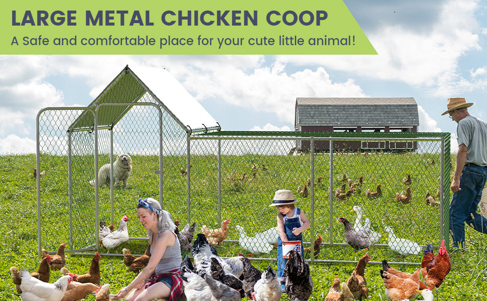 Flat Style Poultry Cage