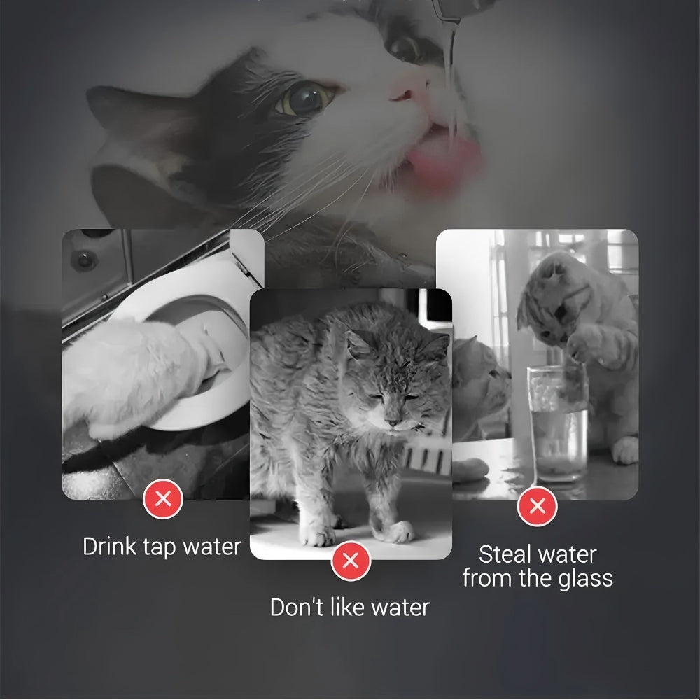 Auto Pet Water Fountain with Faucet