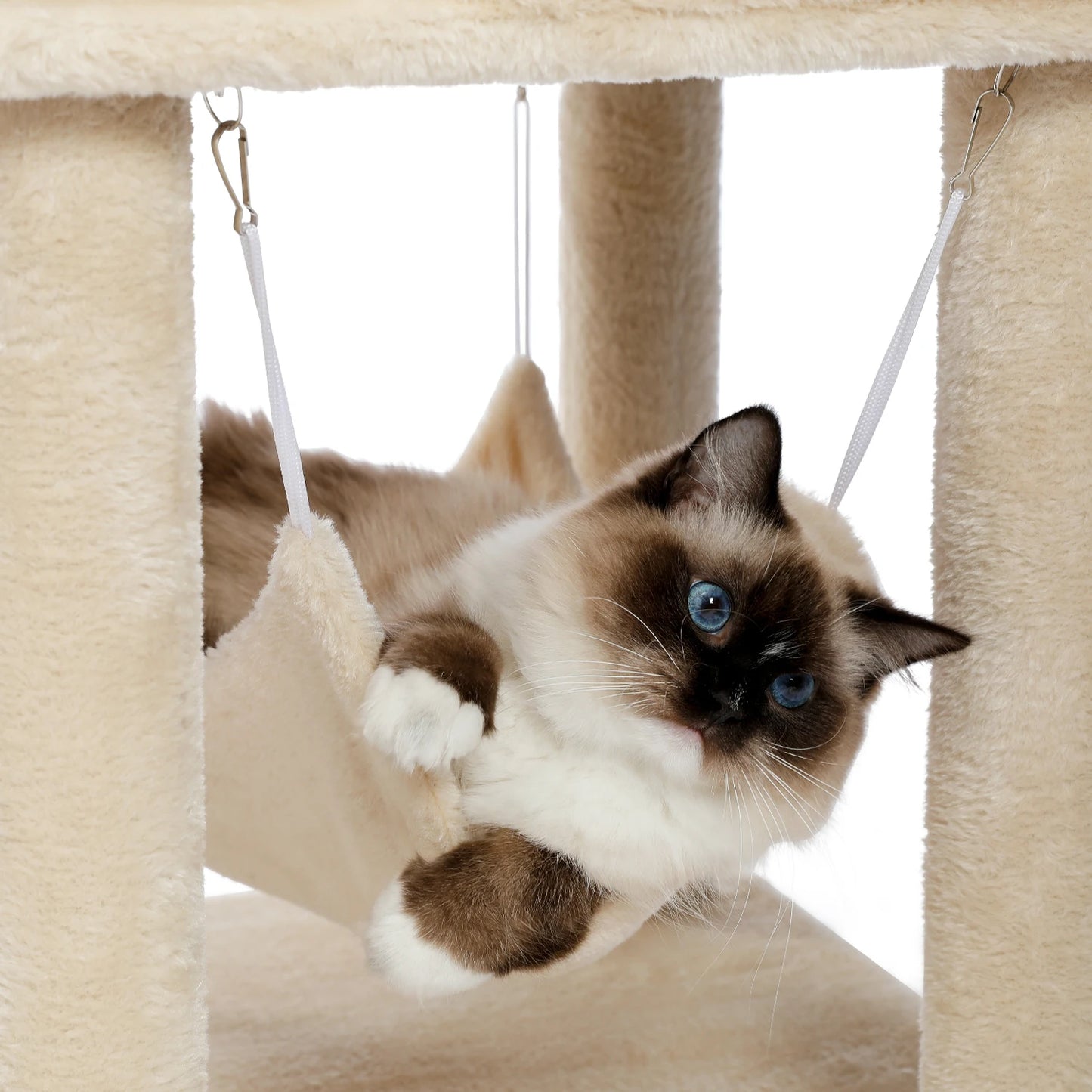 Pet Cat Tree House Condo