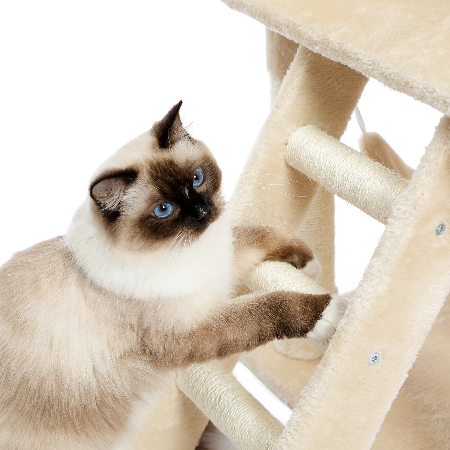 Pet Cat Tree House Condo