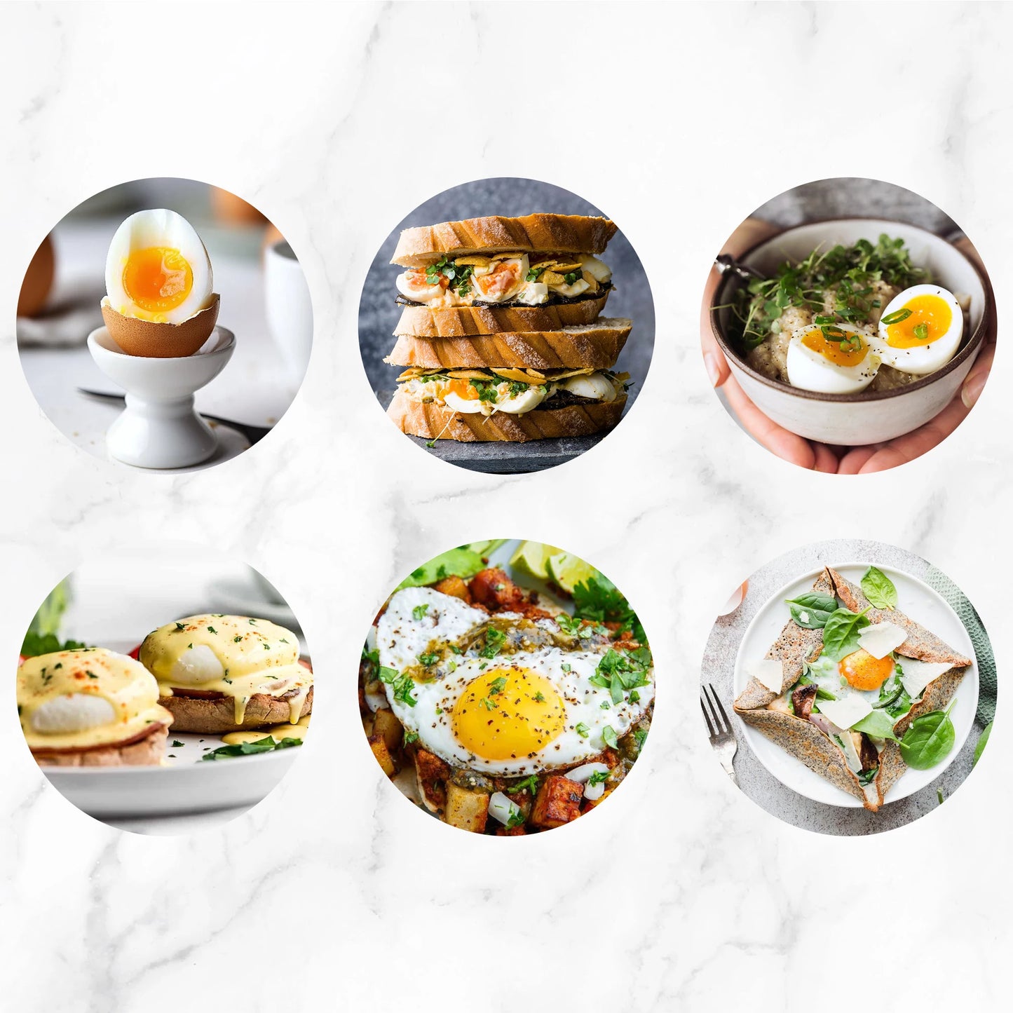 14 Egg Electric Egg Cooker
