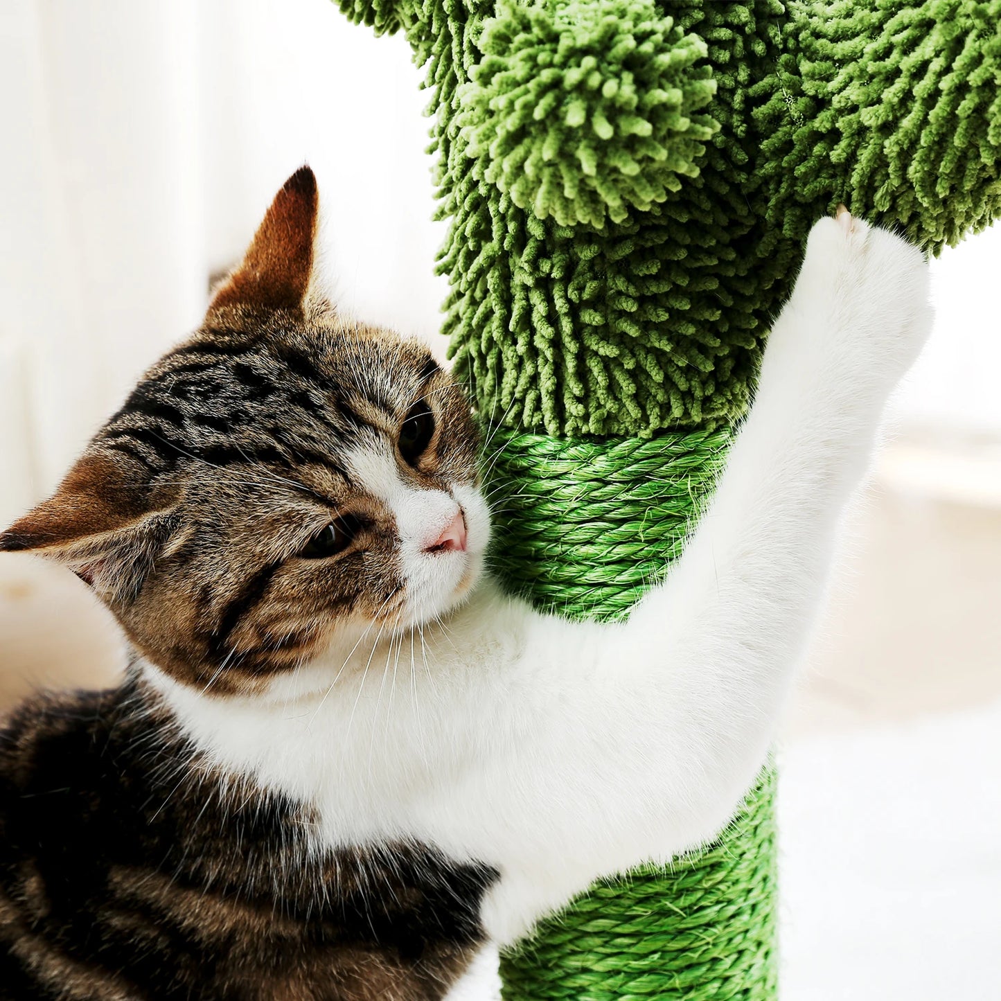 Cute Cactus Pet Cat Tree