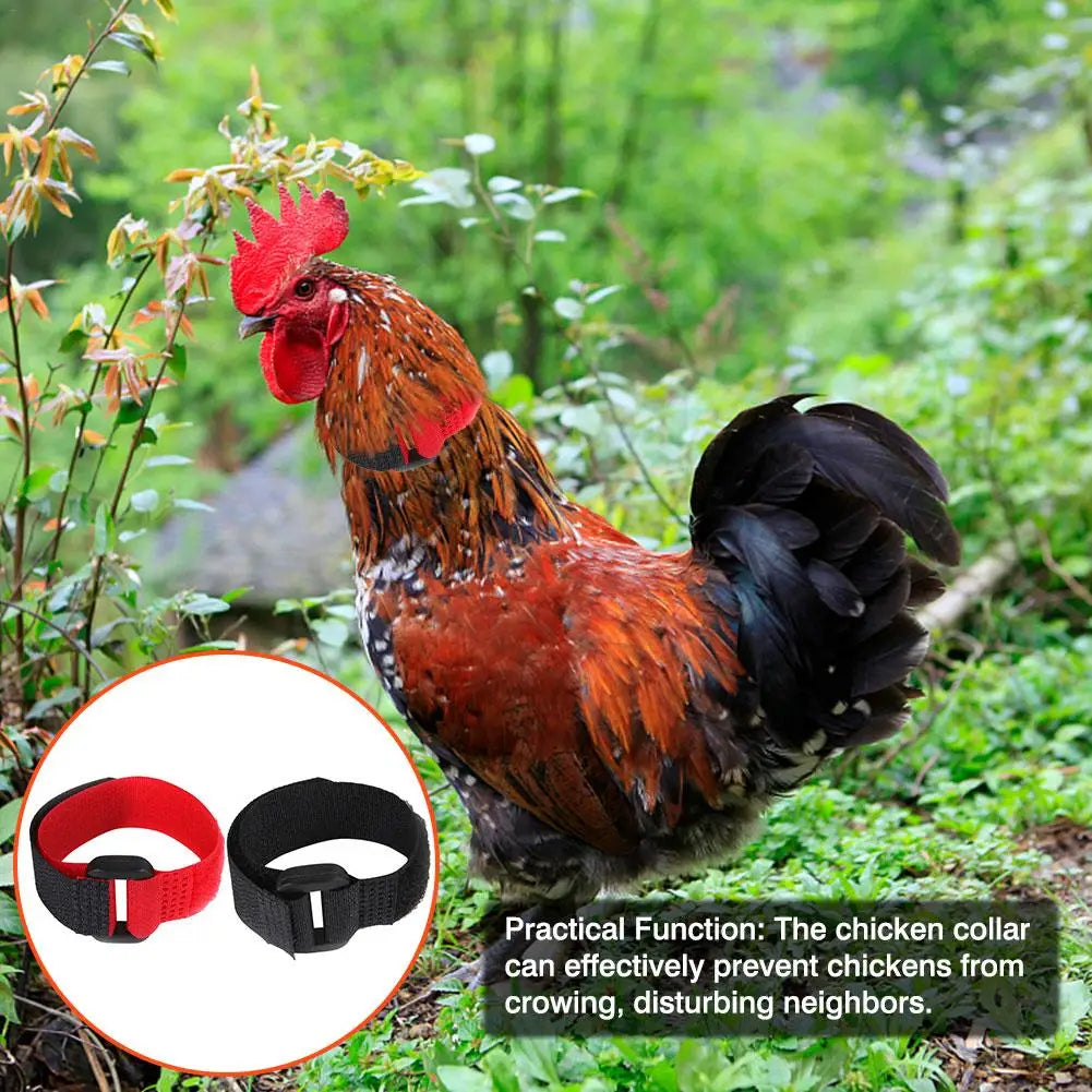 Rooster Noise-Free Anti-Hook Neckband Collar