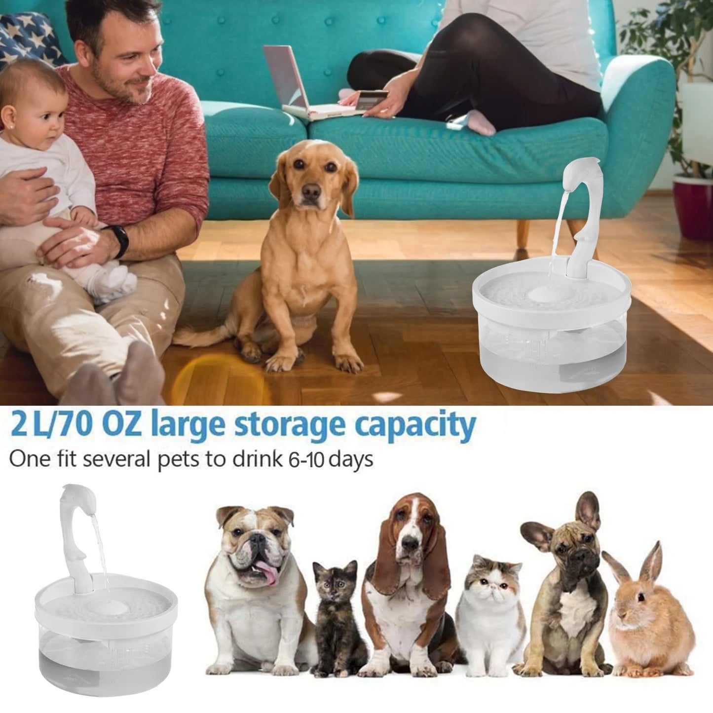 Pet Animal Water Dispenser