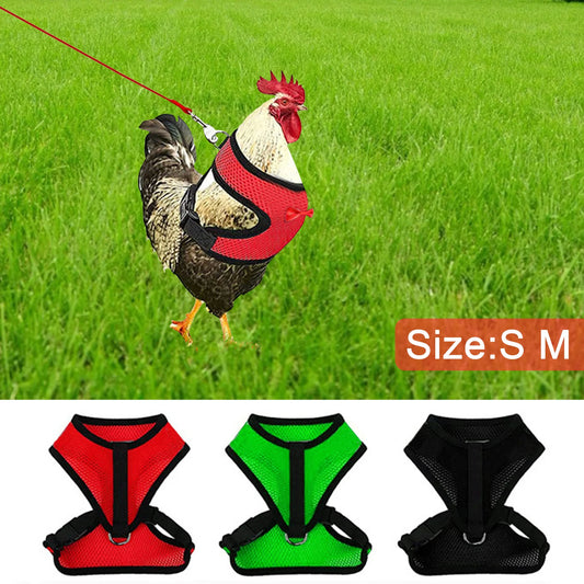 Poultry Harness Rope