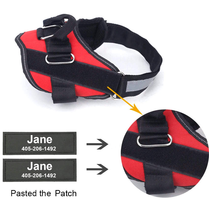 Personalized Dog Harness