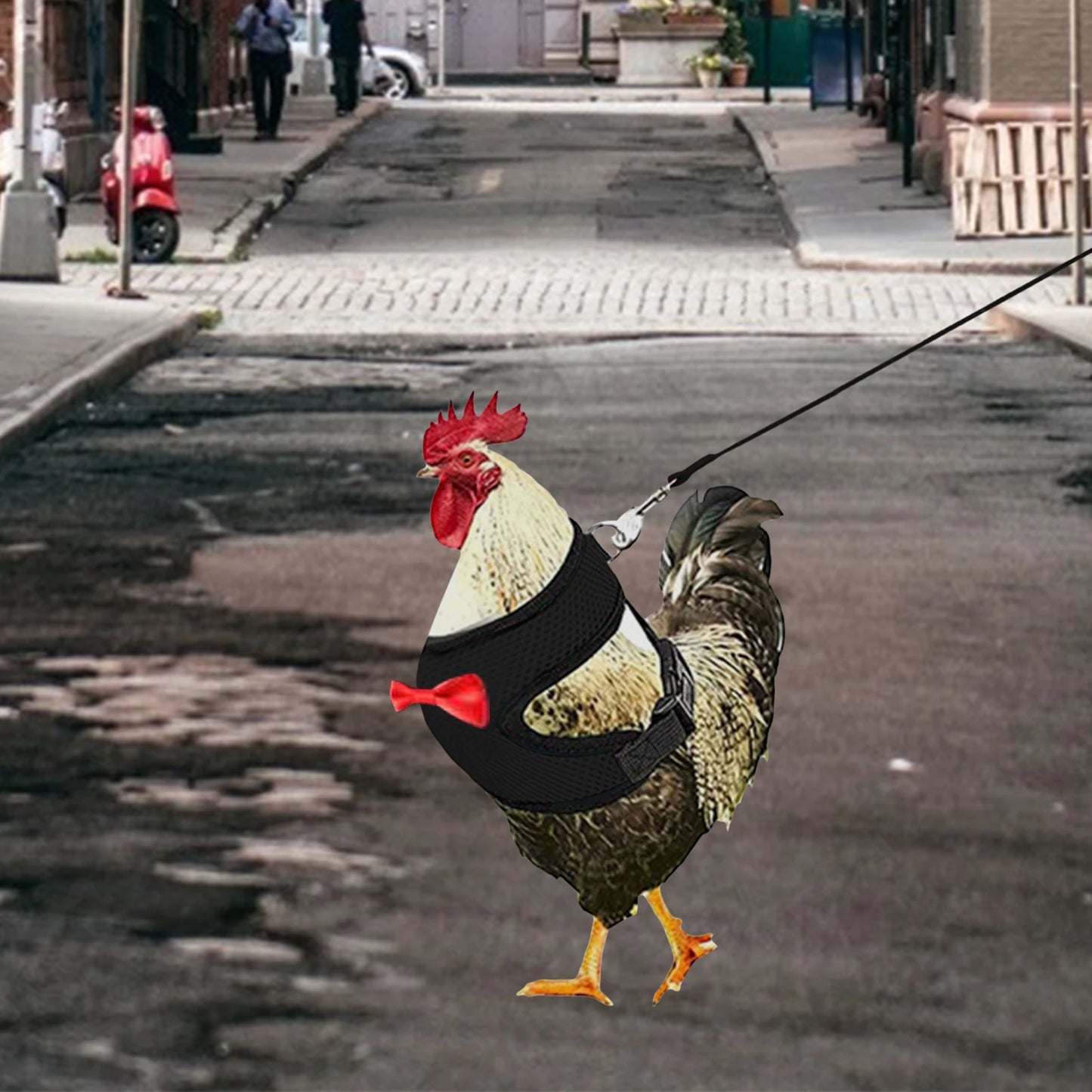 Poultry Harness Rope
