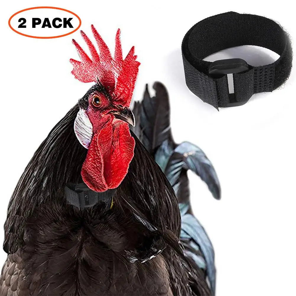 Rooster Noise-Free Anti-Hook Neckband Collar
