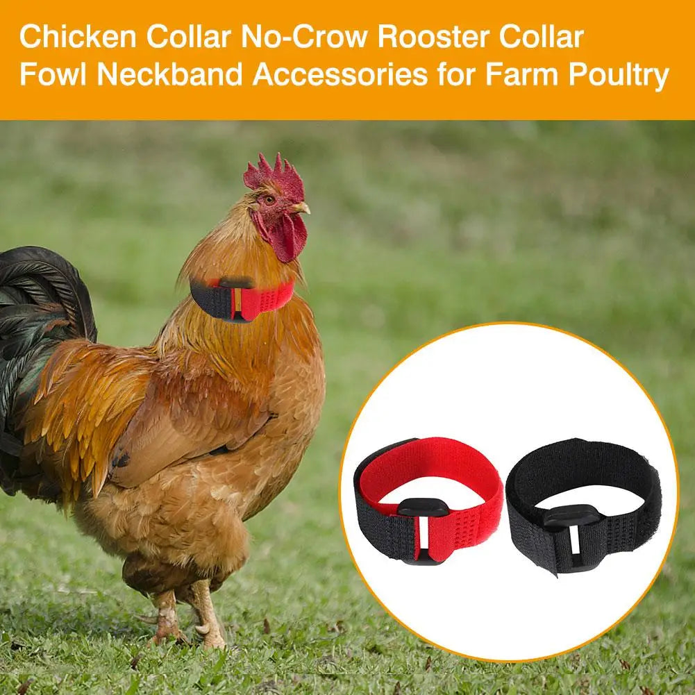 Rooster Noise-Free Anti-Hook Neckband Collar