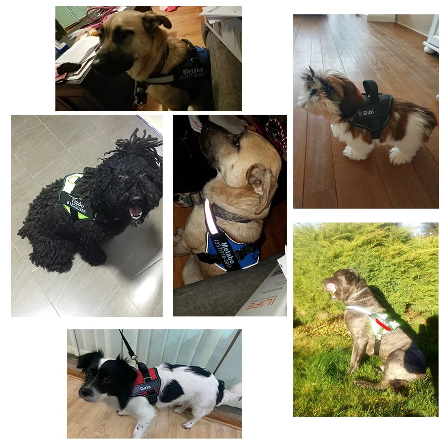 Dog Harness NO PULL Reflective
