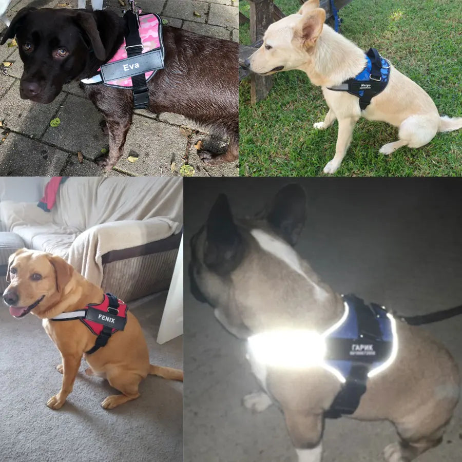 Dog Harness NO PULL Reflective