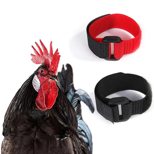 Rooster Noise-Free Anti-Hook Neckband Collar
