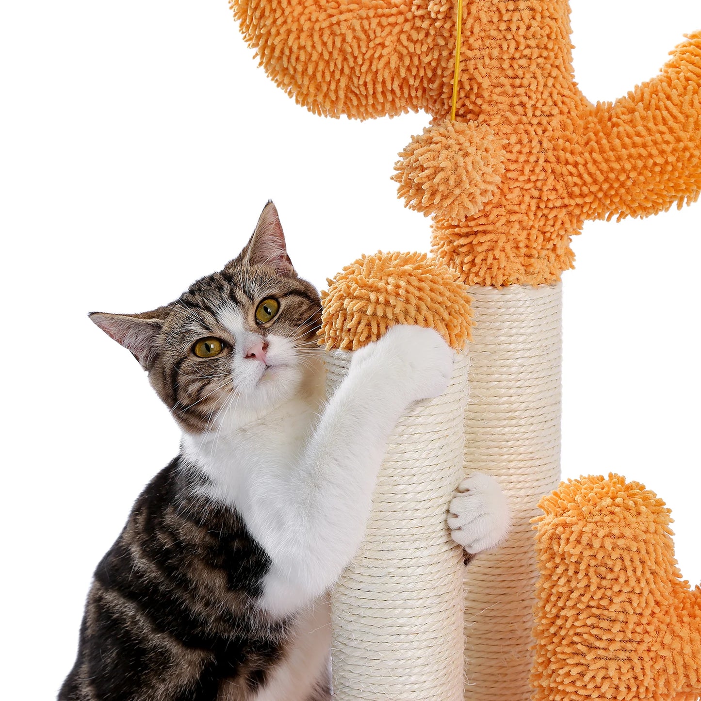 Cute Cactus Pet Cat Tree