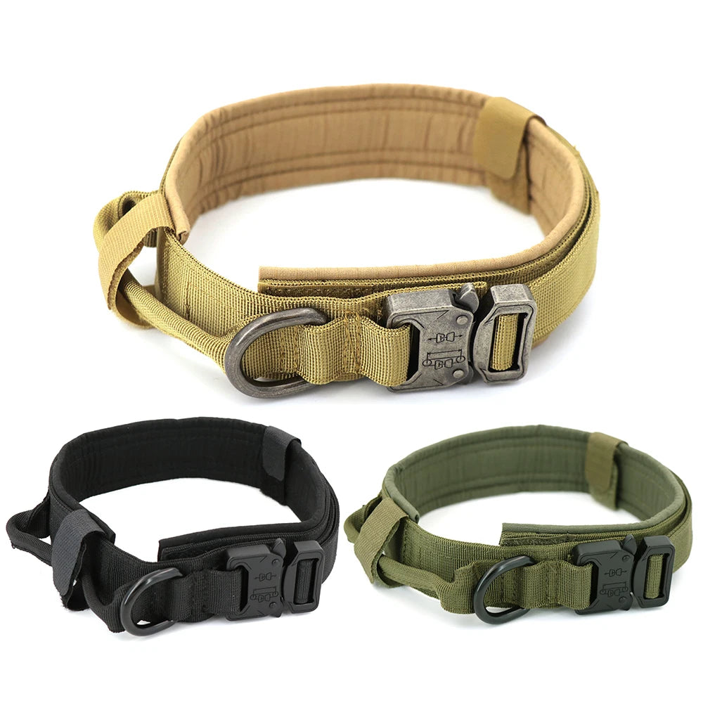 Dog Training Collar