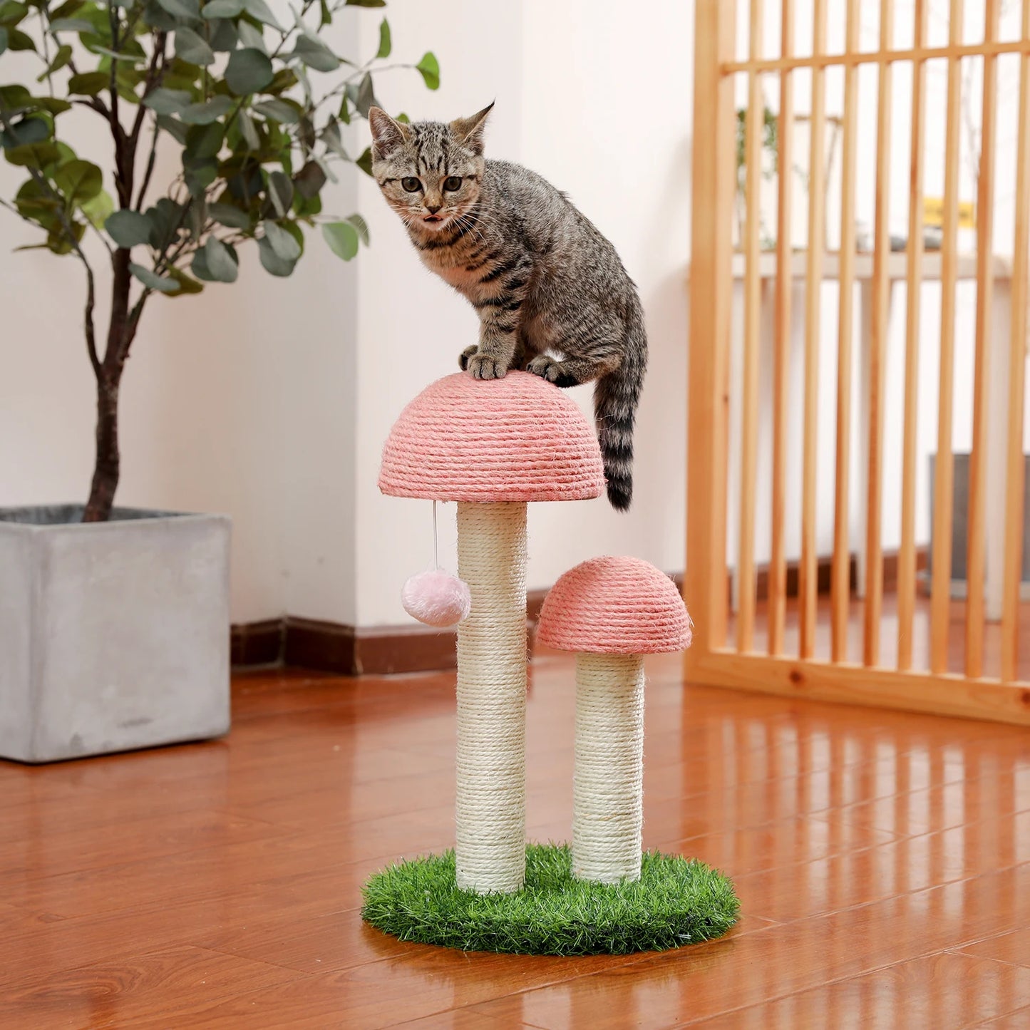 Cute Cactus Pet Cat Tree