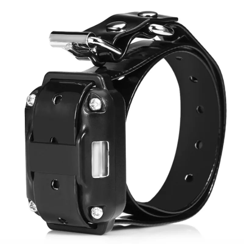 Electric Pet Dog Training Collar