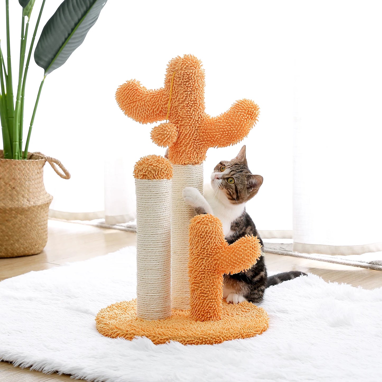 Cute Cactus Pet Cat Tree
