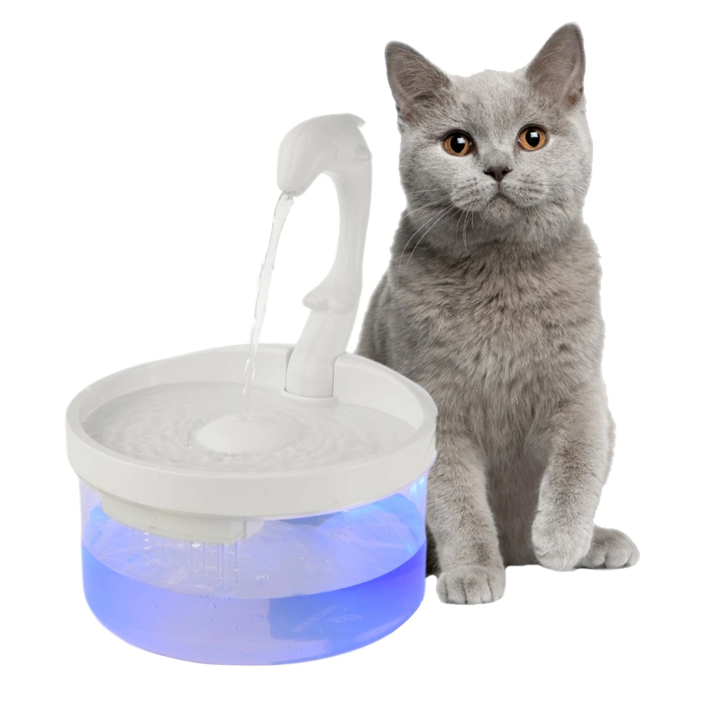 Pet Animal Water Dispenser
