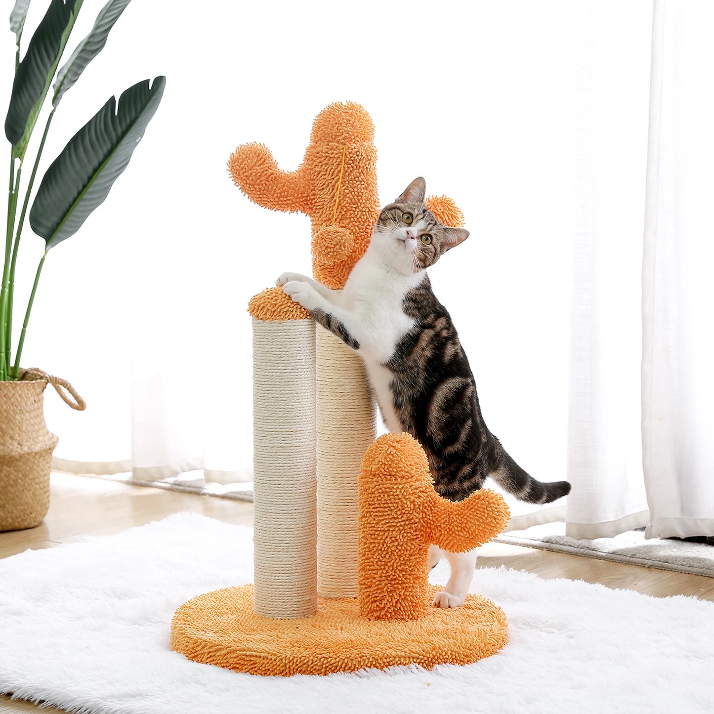 Cute Cactus Pet Cat Tree