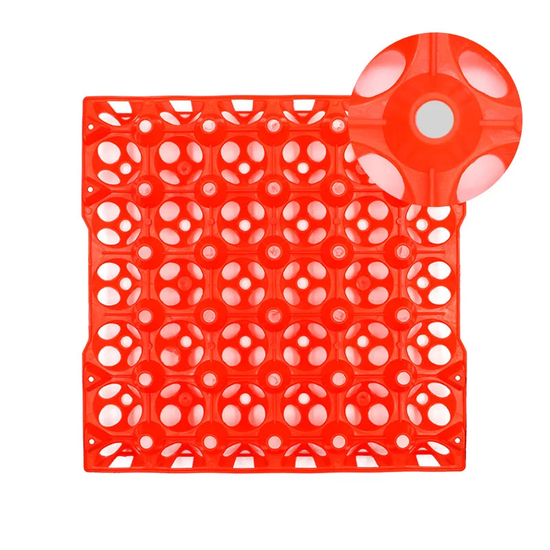 2Pcs Plastic Egg Tray