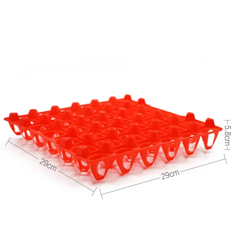 2Pcs Plastic Egg Tray