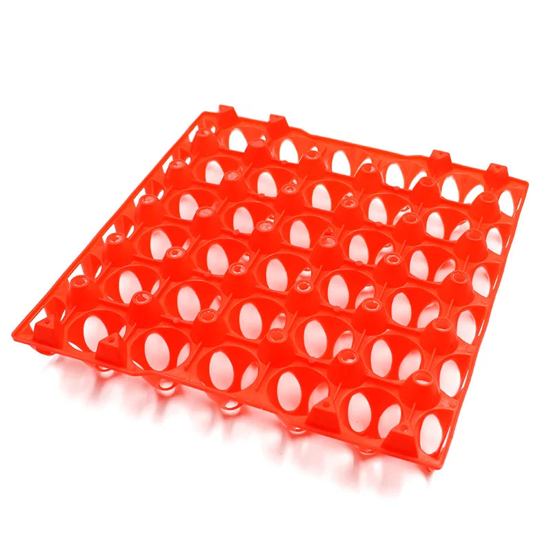 2Pcs Plastic Egg Tray