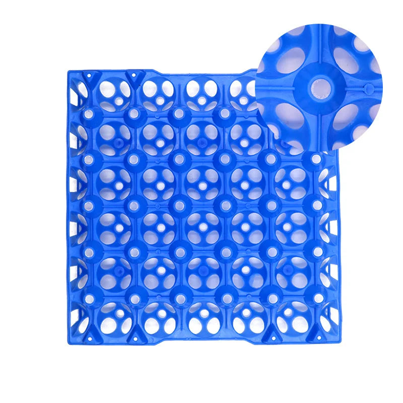 2Pcs Plastic Egg Tray