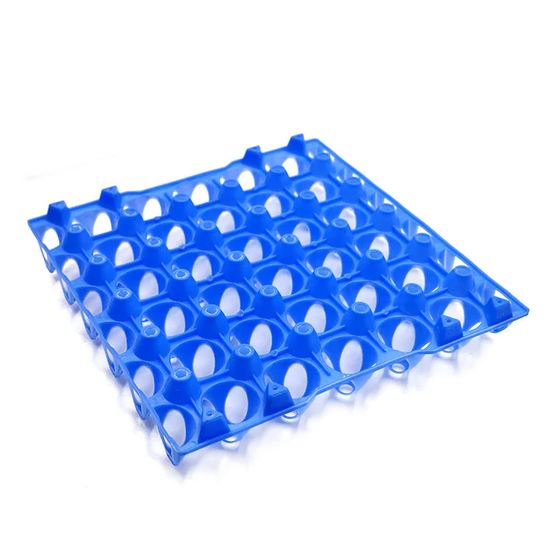 2Pcs Plastic Egg Tray