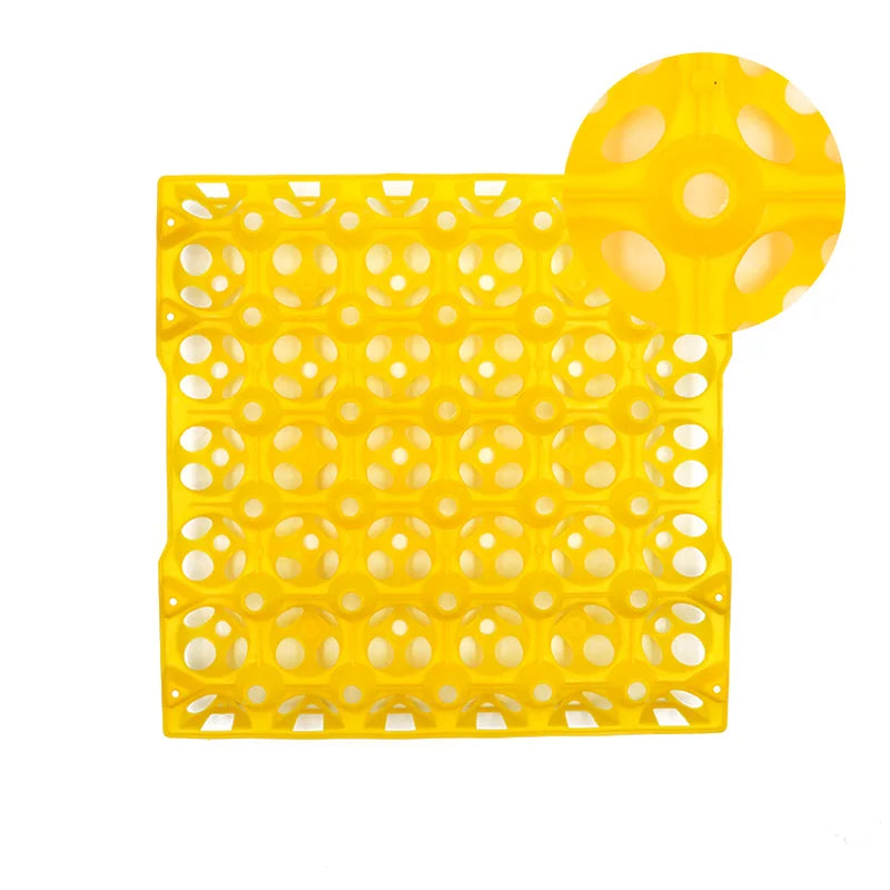 2Pcs Plastic Egg Tray