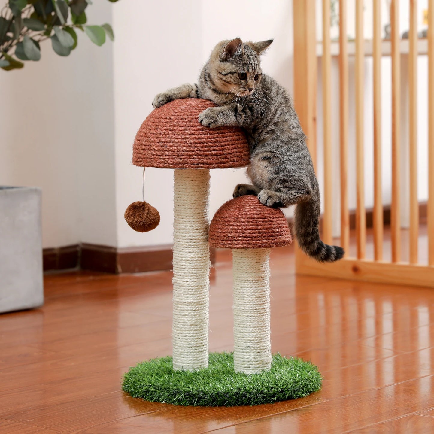Cute Cactus Pet Cat Tree