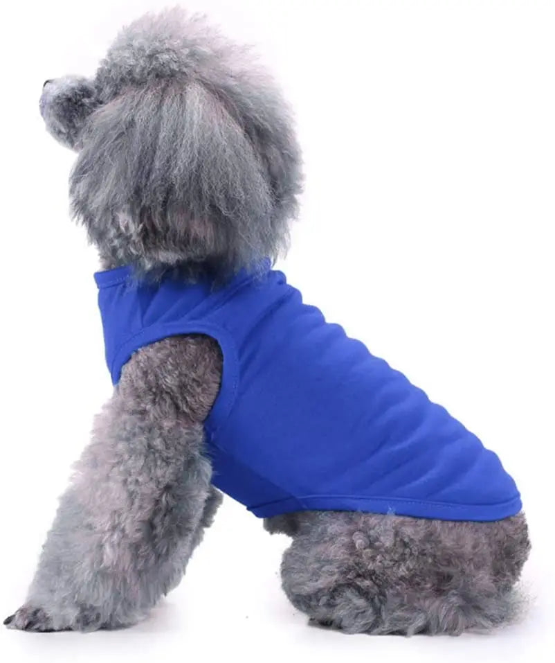 Spring Summer T Shirt Apparel Soft Blank Shirts Clothes