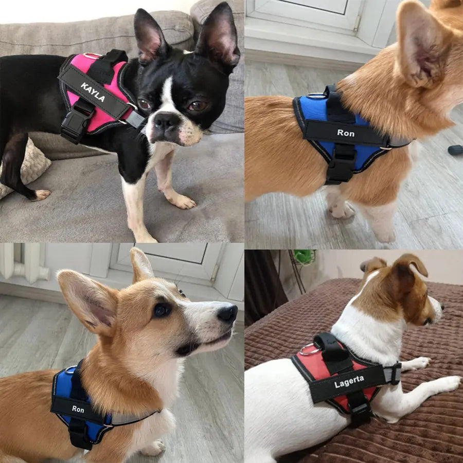 Dog Harness Reflective