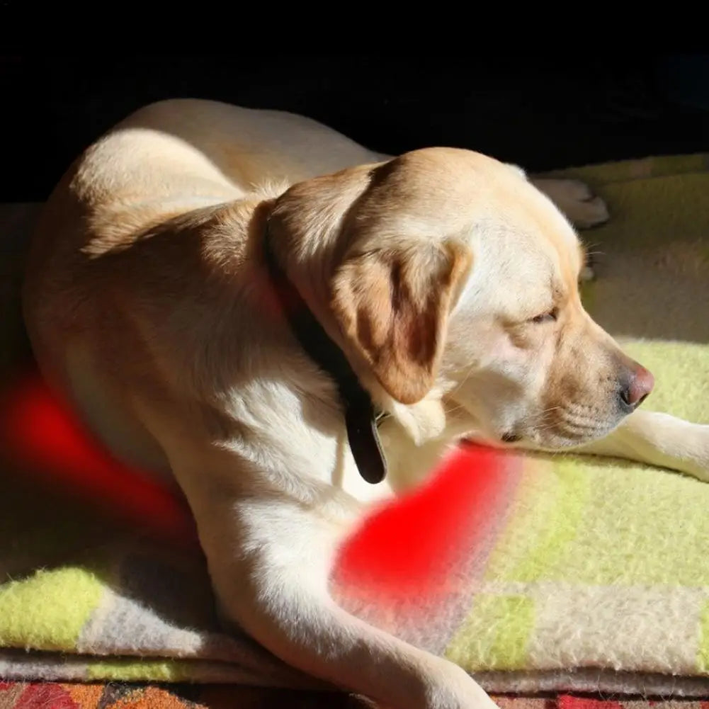 Pet Heating Pad Electric