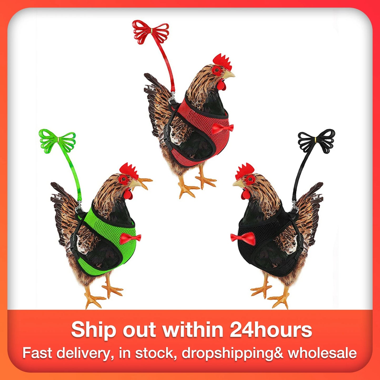 Poultry Harness Rope
