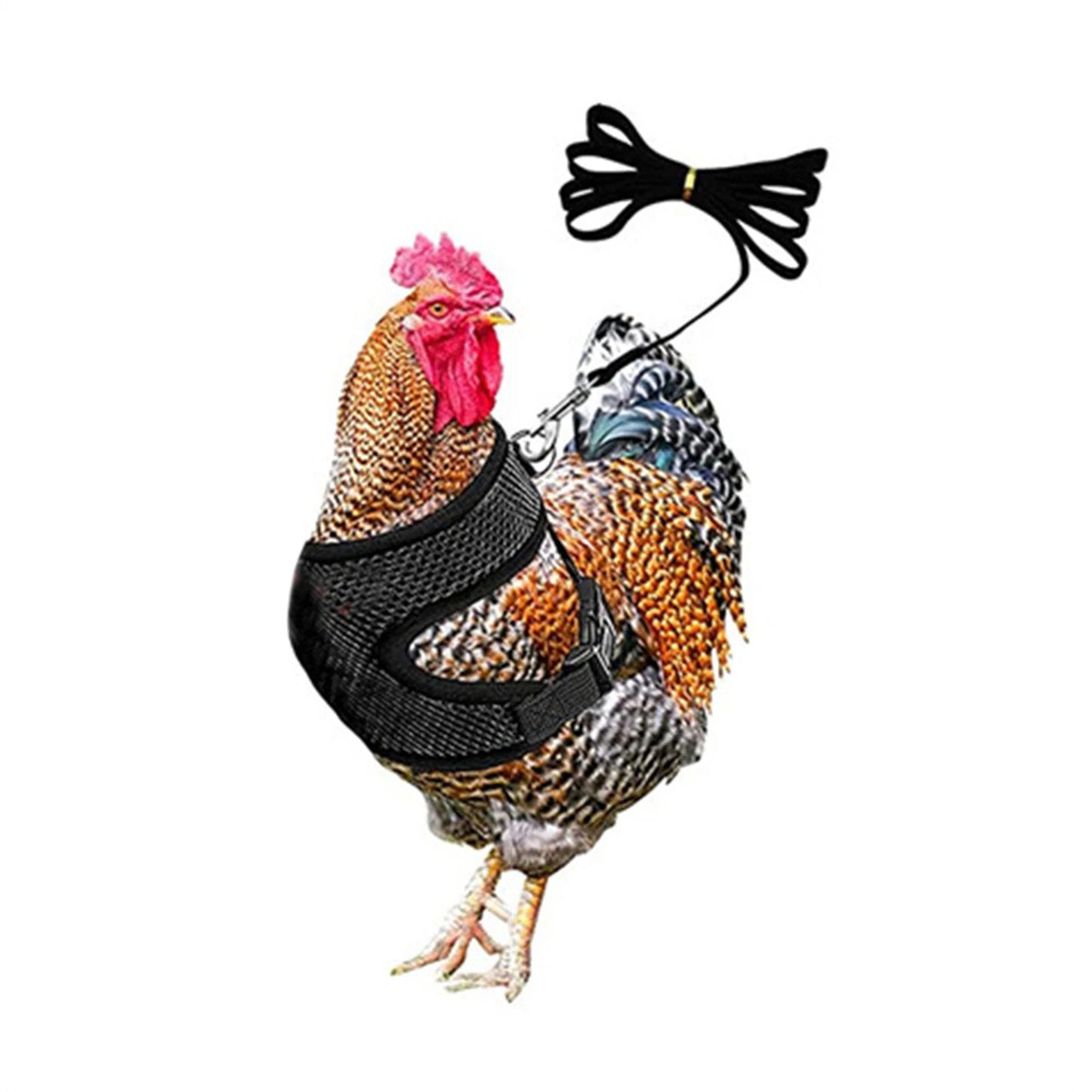 Poultry Harness Rope
