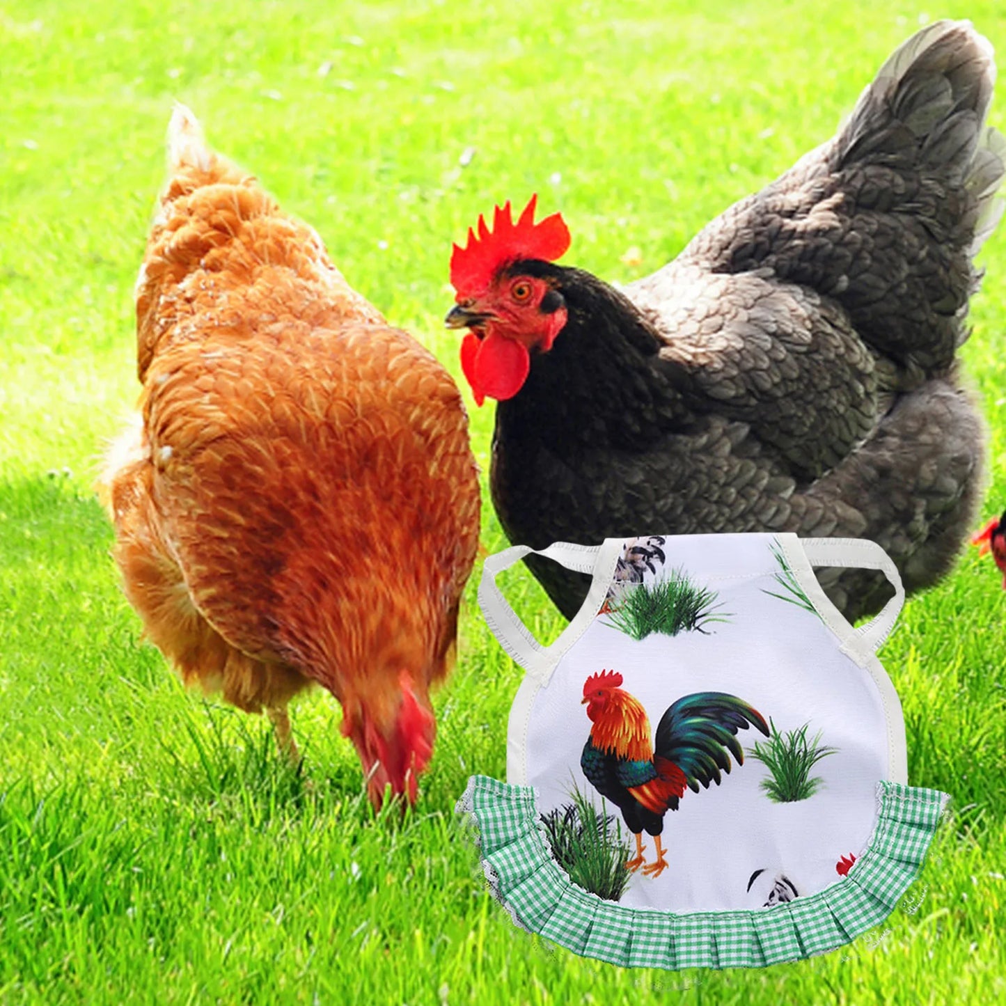 1pcs Farm Hen Feather Retainer Chicken Saddle Strap Apron