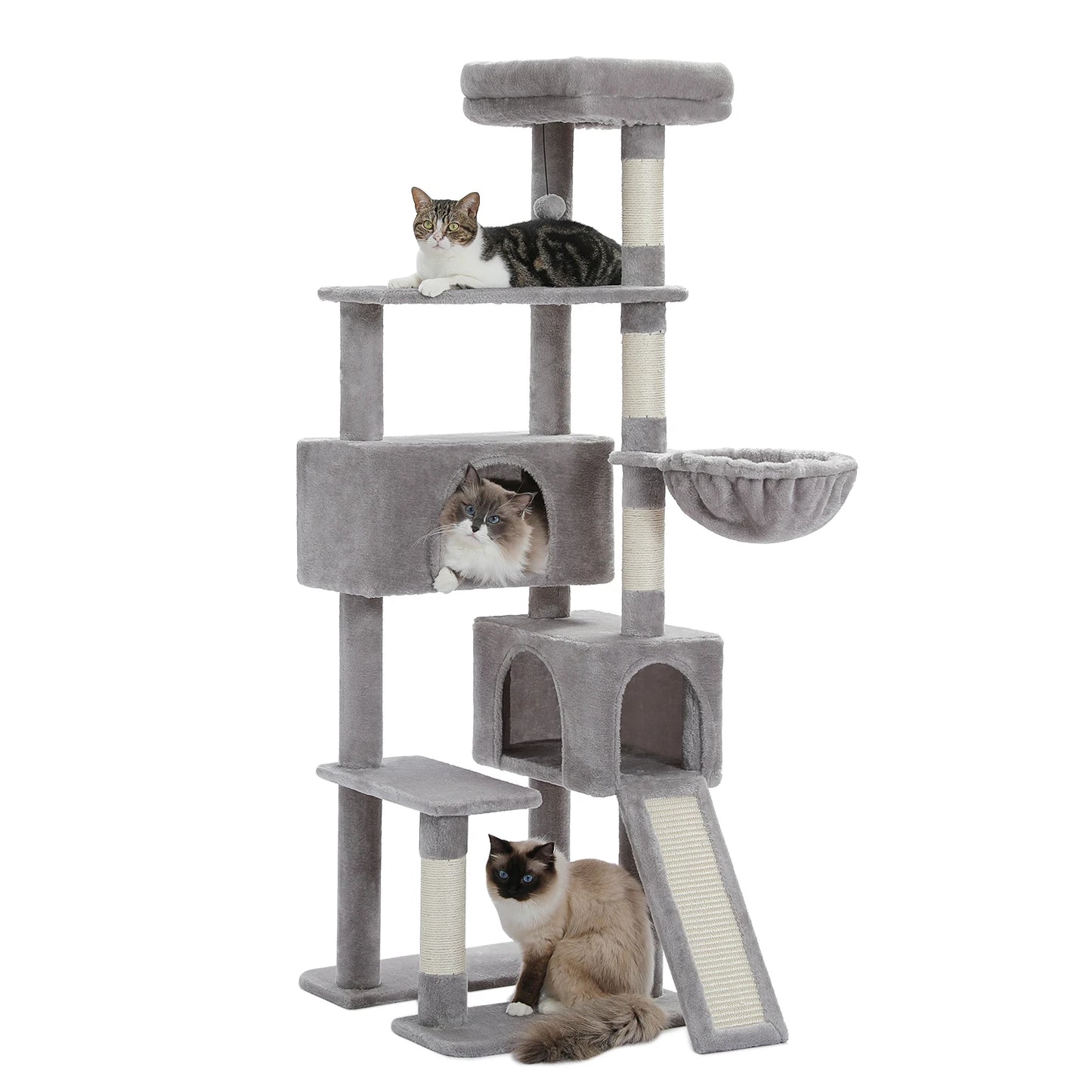 Multi-Level Cat Tree for Large Cats